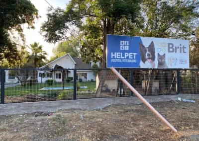 hospital veterinario helpet