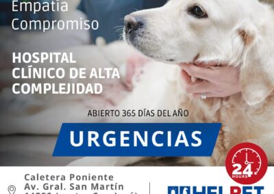 veterinaria 24 horas chacabuco